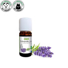 Laboratoire Propos'Nature Lavender True Organic Essential Oil, 10ml - Elliotti