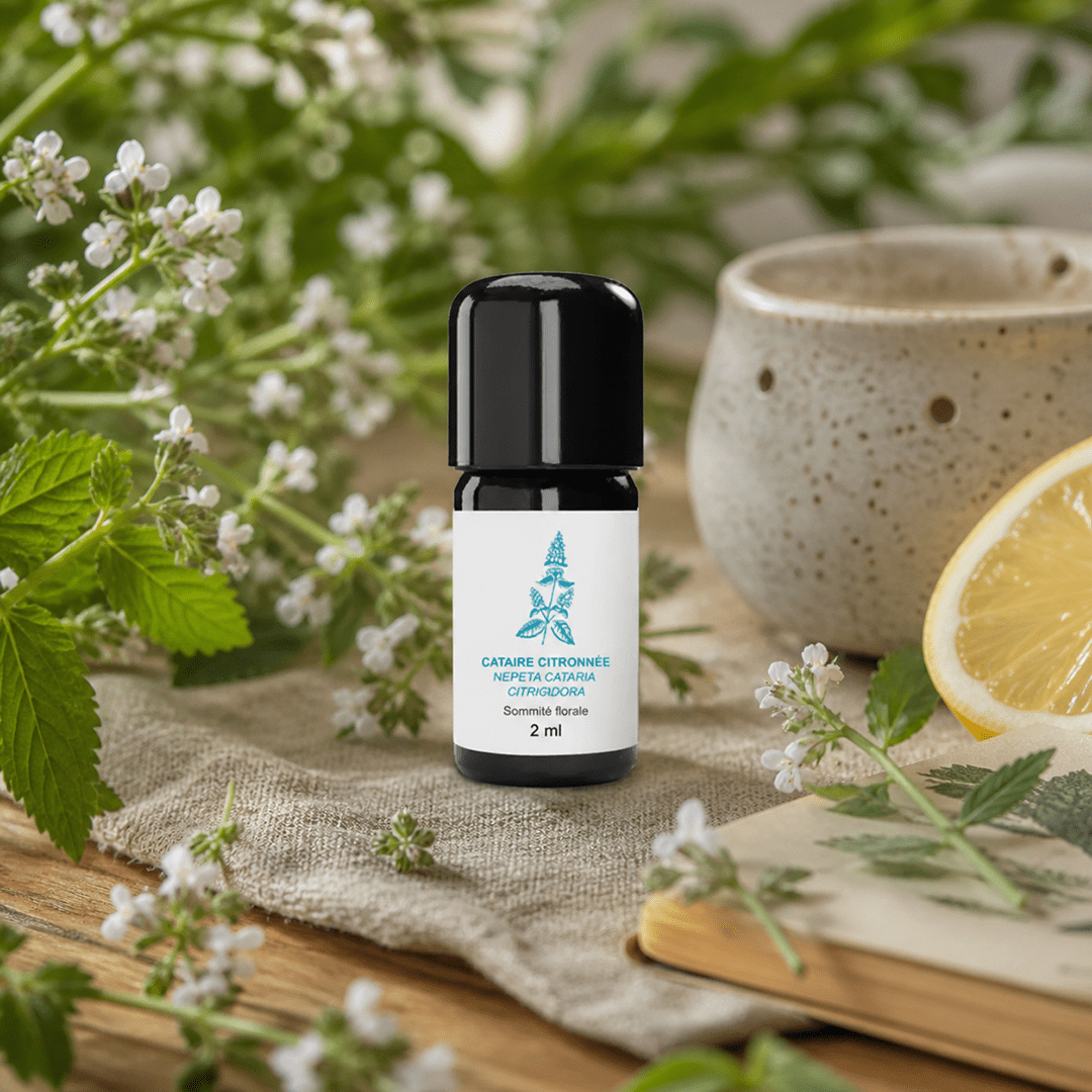 Essenciagua Lemon Catnip Organic Essential Oil, 2 ml - Elliotti
