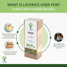 Bioptimal Licorice Organic Infusion, 100g - Elliotti