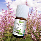 Elliotti Love Spell - Romantic Blend - Elliotti