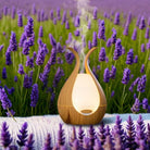 Zen Arome Medusa Ultrasonic Diffuser - 200 ml - Elliotti