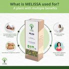 Bioptimal Melissa (Lemon Balm) Organic Infusion, 30g - Elliotti