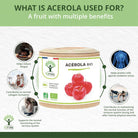 Bioptimal Organic Acerola, 200 capsules - Elliotti