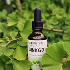 Adaptitude Organic Ginkgo Biloba Extract, 50 ml - Elliotti