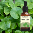 Adaptitude Organic Gotu Kola Extract, 50 ml - Elliotti