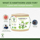 Bioptimal Organic Hawthorne, 200 capsules - Elliotti