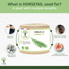 Bioptimal Organic Horsetail, 60 capsules - Elliotti