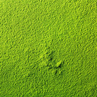 Bioptimal Organic Matcha, 400g - Elliotti