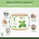 Bioptimal Organic Nettle, 60 capsules - Elliotti