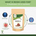 Bioptimal Organic Reishi Powder, 100g - Elliotti