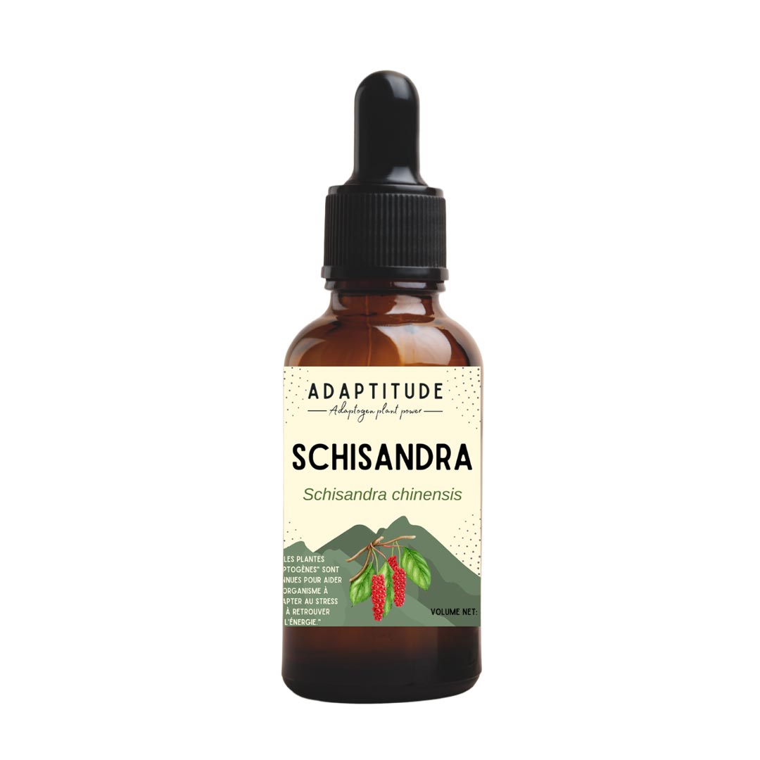 Adaptitude Organic Schisandra Extract, 50 ml - Elliotti