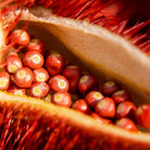 Bioptimal Organic Tanning Capsules, 200 capsules - Elliotti