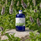 A bottle of essenciaguas peppermint organic hydrosol, placed on a stone surrounded by mint plants in a garden setting.