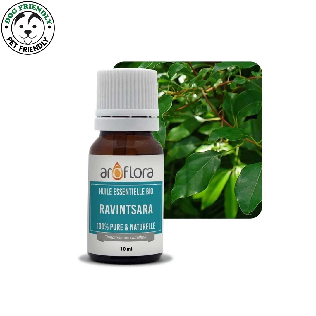 Innobiz Ravintsara Organic Essential Oil, 10ml - Elliotti