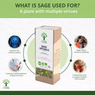 Bioptimal Sage Organic Infusion, 40g - Elliotti