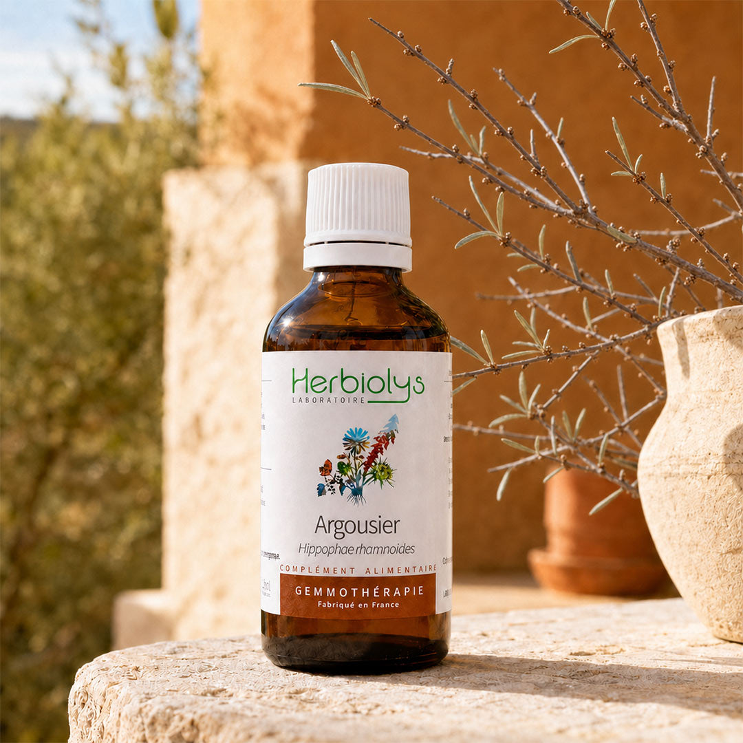 A bottle of Herbiolys Sea Buckthorn herbal supplement placed on a stone surface outdoors, with a terracotta wall, greenery, and a potted plant in the background.