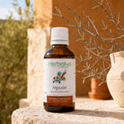 A bottle of Herbiolys Sea Buckthorn herbal supplement placed on a stone surface outdoors, with a terracotta wall, greenery, and a potted plant in the background.