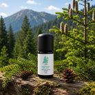 A small black bottle labeled SAPIN PECTINE - Abies alba - with a black cap and white label, placed on a log outdoors with pine branches, pinecones, and a mountain forest background.