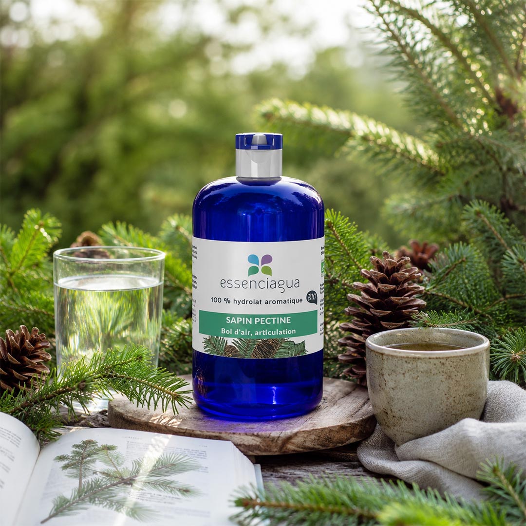 A cobalt blue bottle of Essenciagua Sapin Pictine hydrosol is styled on a wooden surface with silver fir branches, a glass of water, a ceramic mug, and an open book in a natural outdoor setting.