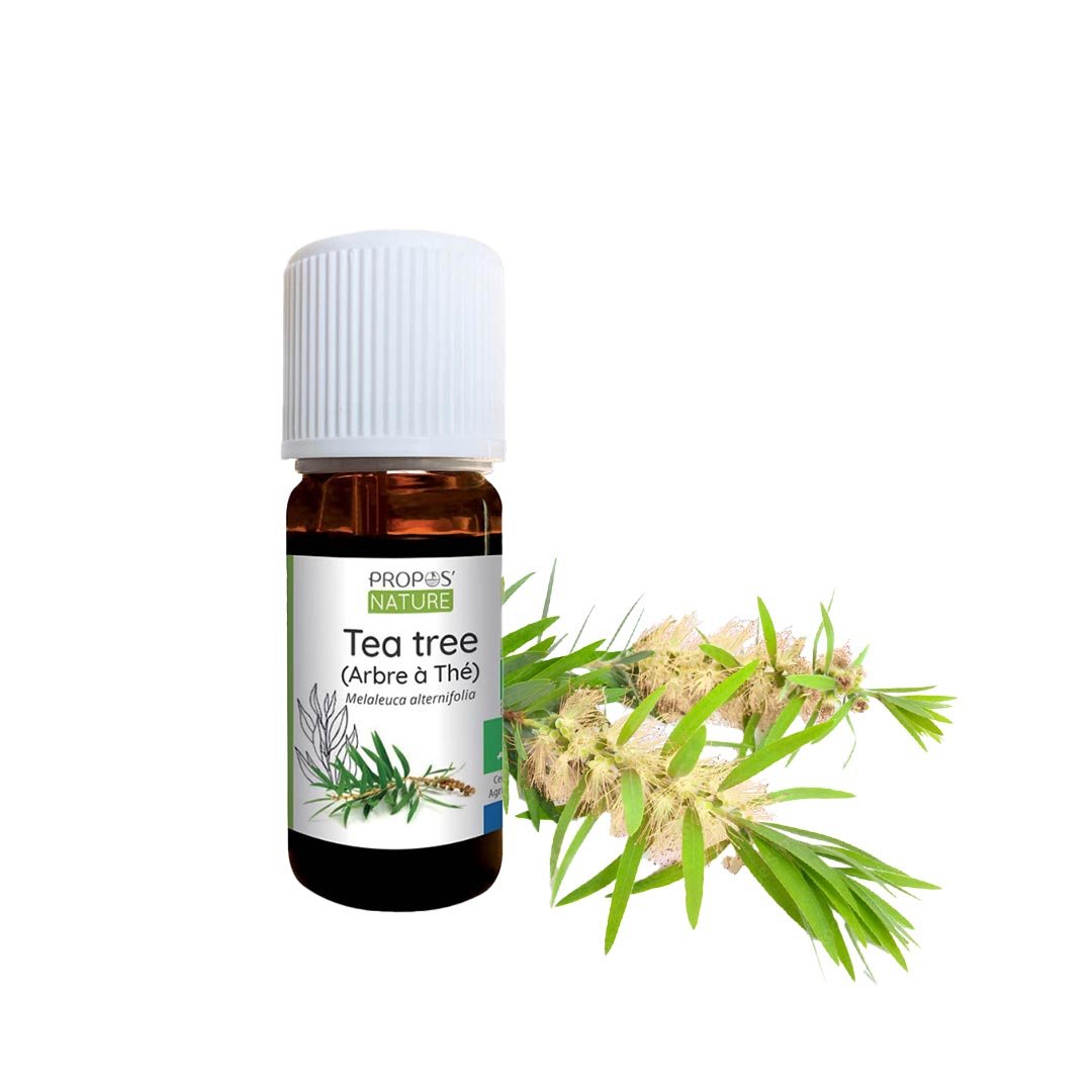 Laboratoire Propos'Nature Tea Tree Organic Essential Oil, 10ml - Elliotti