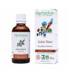 A bottle and box of Herbiolys Laboratoires Aulne blanc gemmotherapy supplement, featuring an amber glass bottle with a white cap and a white box with colorful botanical illustrations.