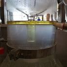 Essenciagua Wild Carrot Organic Essential Oil, 5ml - Elliotti