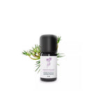 Essenciagua Wild Carrot Organic Essential Oil, 5ml - Elliotti