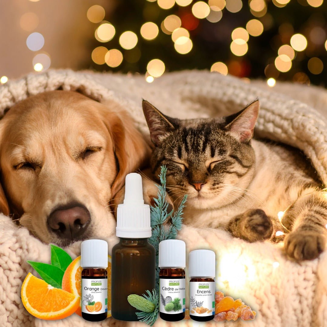 Elliotti Winter Wonderland Essential Oil Blend - Elliotti